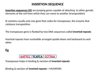 9. Bacterial Genetics.pptx created December 2024 | PPTX