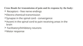 Cross Roads for transmission of pain and its response by the body:
 Receptors - free nerve endings
Electro-chemical transmission
Synapse in the spinal cord - convergence
Ascent in the spinal cord to pain receiving areas in the
brain
 Facilitatory/Inhibitory neurons
Motor response
 
