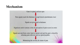 Mechanism
 