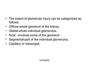 • The extent of glomerular injury can be categorized as
follows:
• Diffuse-whole glomeruli of the kidney.
• Global-whole individual glomerulus.
• focal -involves some of the glomeruli
• Segmental-part of the individual glomerulus.
• Capillary or mesengial.
UPTODATE
 