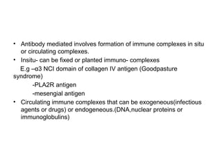 • Antibody mediated involves formation of immune complexes in situ
or circulating complexes.
• Insitu- can be fixed or planted immuno- complexes
E.g –α3 NCI domain of collagen IV antigen (Goodpasture
syndrome)
-PLA2R antigen
-mesengial antigen
• Circulating immune complexes that can be exogeneous(infectious
agents or drugs) or endogeneous.(DNA,nuclear proteins or
immunoglobulins)
 