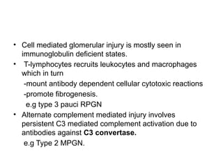 • Cell mediated glomerular injury is mostly seen in
immunoglobulin deficient states.
• T-lymphocytes recruits leukocytes and macrophages
which in turn
-mount antibody dependent cellular cytotoxic reactions
-promote fibrogenesis.
e.g type 3 pauci RPGN
• Alternate complement mediated injury involves
persistent C3 mediated complement activation due to
antibodies against C3 convertase.
e.g Type 2 MPGN.
 