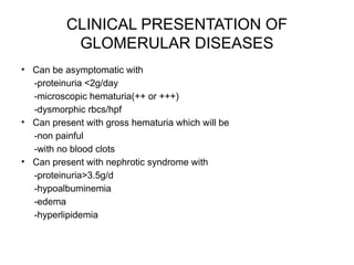 CLINICAL PRESENTATION OF
GLOMERULAR DISEASES
• Can be asymptomatic with
-proteinuria <2g/day
-microscopic hematuria(++ or +++)
-dysmorphic rbcs/hpf
• Can present with gross hematuria which will be
-non painful
-with no blood clots
• Can present with nephrotic syndrome with
-proteinuria>3.5g/d
-hypoalbuminemia
-edema
-hyperlipidemia
 