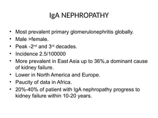 IgA NEPHROPATHY
• Most prevalent primary glomerulonephritis globally.
• Male >female.
• Peak -2nd
and 3rd
decades.
• Incidence 2.5/100000
• More prevalent in East Asia up to 36%,a dominant cause
of kidney failure.
• Lower in North America and Europe.
• Paucity of data in Africa.
• 20%-40% of patient with IgA nephropathy progress to
kidney failure within 10-20 years.
 