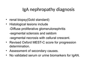 IgA nephropathy diagnosis
• renal biopsy(Gold standard)
• Histological lesions include
-Diffuse proliferative glomerulonephritis
-segmental sclerosis and seldom
-segmental necrosis with cellural crescent.
• Revised Oxford MEST-C score for progression
determination.
• Assessment of secondary causes.
• No validated serum or urine biomarkers for IgAN.
 