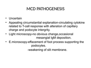 MCD PATHOGENESIS
• Uncertain
• Appealing circumstantial explanation-circulating cytokine
related to T-cell response with alteration of capillary
charge and podocyte intergrity.
• Light microscopy-no obvious change,occasional
mesangial IgM deposition.
• E.microscopy-effacement of foot process supporting the
podocytes.
-weakening of slit membrane.
 