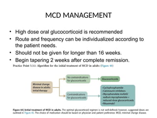 MCD MANAGEMENT
• High dose oral glucocorticoid is recommended
• Route and frequency can be individualized according to
the patient needs.
• Should not be given for longer than 16 weeks.
• Begin tapering 2 weeks after complete remission.
 