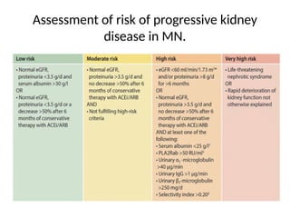 Assessment of risk of progressive kidney
disease in MN.
 