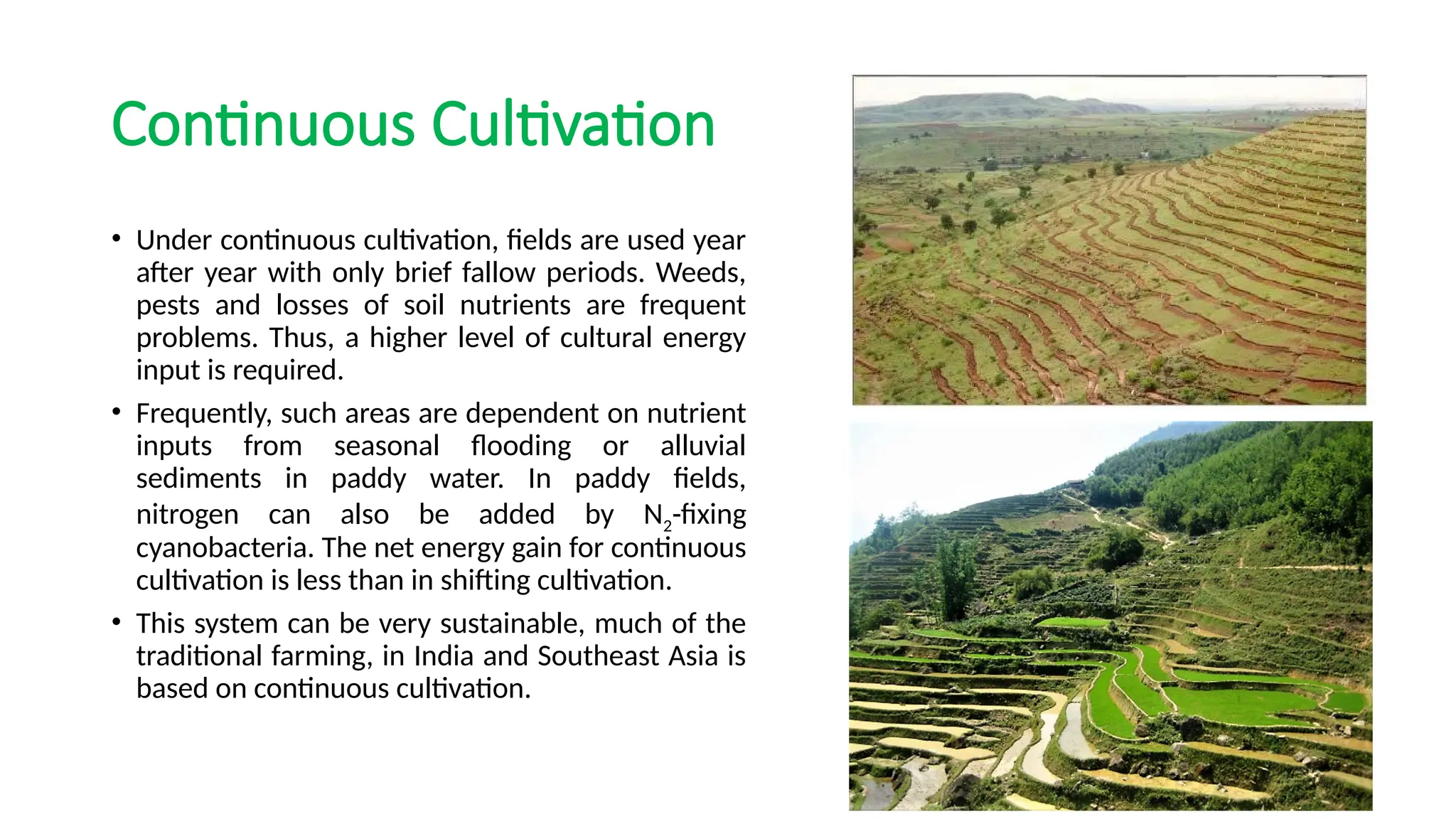 Continuous Cultivation
• Under continuous cultivation, fields are used year
after year with only brief fallow periods. Weeds,
pests and losses of soil nutrients are frequent
problems. Thus, a higher level of cultural energy
input is required.
• Frequently, such areas are dependent on nutrient
inputs from seasonal flooding or alluvial
sediments in paddy water. In paddy fields,
nitrogen can also be added by N2-fixing
cyanobacteria. The net energy gain for continuous
cultivation is less than in shifting cultivation.
• This system can be very sustainable, much of the
traditional farming, in India and Southeast Asia is
based on continuous cultivation.
 
