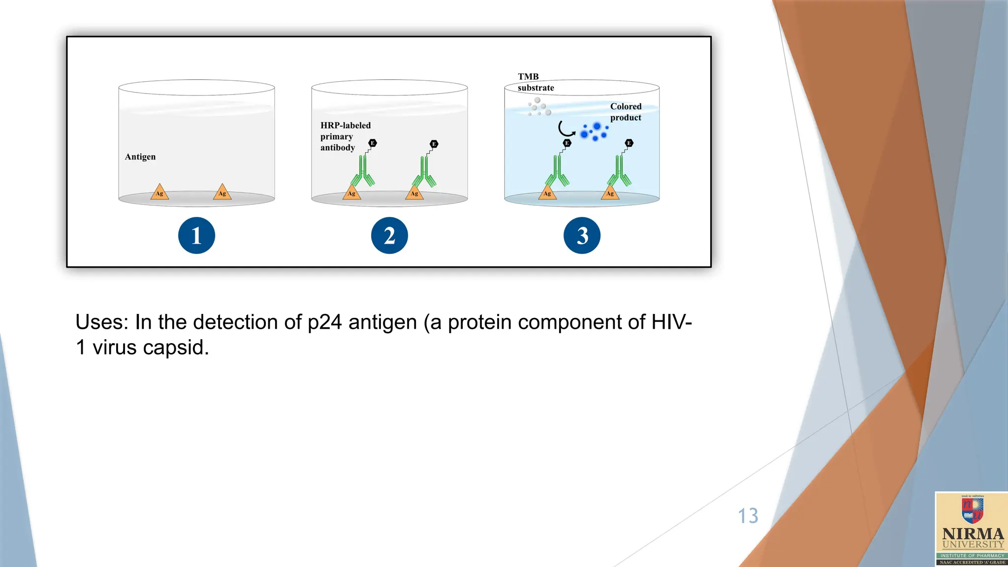 13
Uses: In the detection of p24 antigen (a protein component of HIV-
1 virus capsid.
 