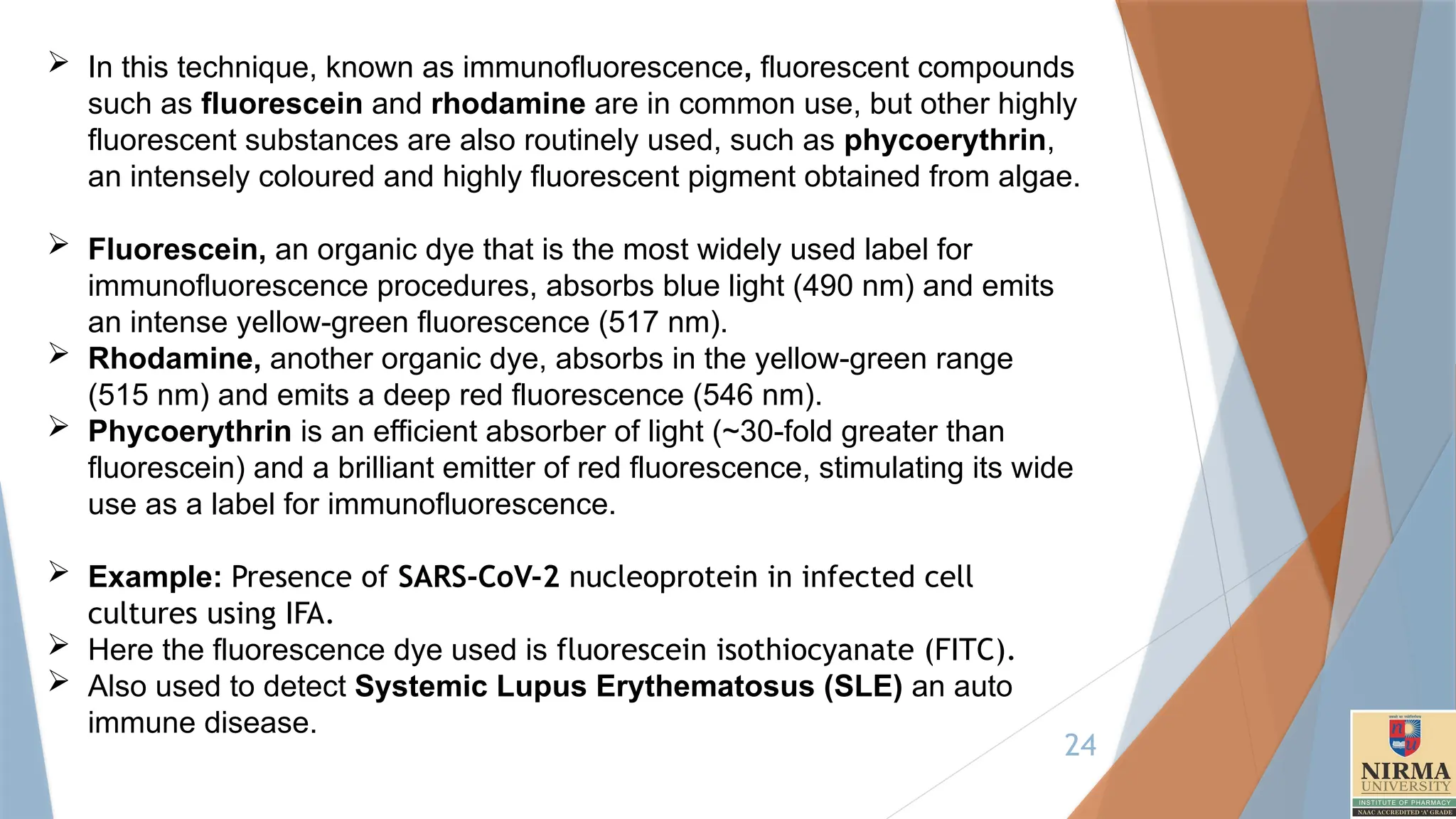 24
 In this technique, known as immunofluorescence, fluorescent compounds
such as fluorescein and rhodamine are in common use, but other highly
fluorescent substances are also routinely used, such as phycoerythrin,
an intensely coloured and highly fluorescent pigment obtained from algae.
 Fluorescein, an organic dye that is the most widely used label for
immunofluorescence procedures, absorbs blue light (490 nm) and emits
an intense yellow-green fluorescence (517 nm).
 Rhodamine, another organic dye, absorbs in the yellow-green range
(515 nm) and emits a deep red fluorescence (546 nm).
 Phycoerythrin is an efficient absorber of light (~30-fold greater than
fluorescein) and a brilliant emitter of red fluorescence, stimulating its wide
use as a label for immunofluorescence.
 Example: Presence of SARS-CoV-2 nucleoprotein in infected cell
cultures using IFA.
 Here the fluorescence dye used is fluorescein isothiocyanate (FITC).
 Also used to detect Systemic Lupus Erythematosus (SLE) an auto
immune disease.
 