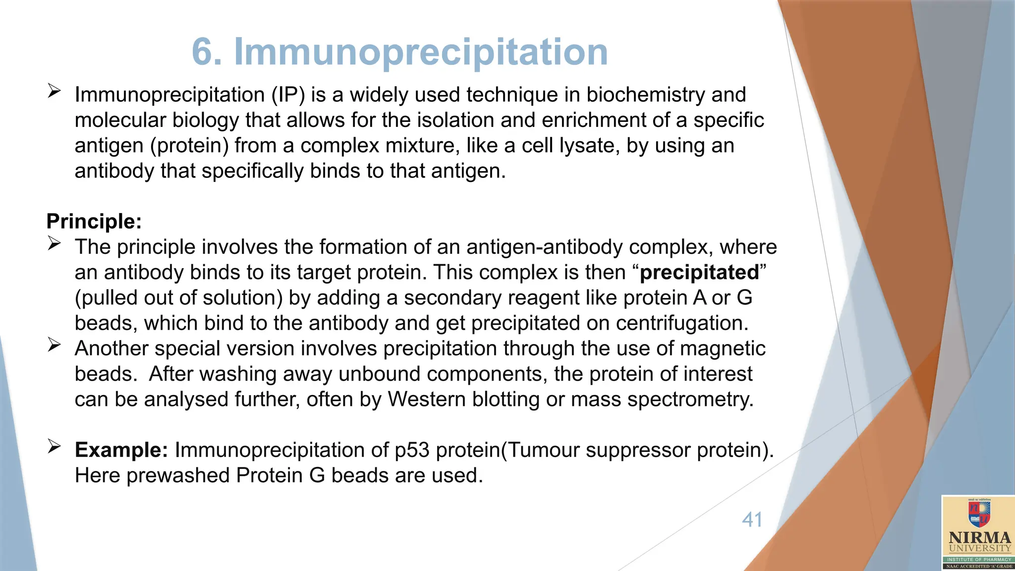 41
6. Immunoprecipitation
 Immunoprecipitation (IP) is a widely used technique in biochemistry and
molecular biology that allows for the isolation and enrichment of a specific
antigen (protein) from a complex mixture, like a cell lysate, by using an
antibody that specifically binds to that antigen.
Principle:
 The principle involves the formation of an antigen-antibody complex, where
an antibody binds to its target protein. This complex is then “precipitated”
(pulled out of solution) by adding a secondary reagent like protein A or G
beads, which bind to the antibody and get precipitated on centrifugation.
 Another special version involves precipitation through the use of magnetic
beads. After washing away unbound components, the protein of interest
can be analysed further, often by Western blotting or mass spectrometry.
 Example: Immunoprecipitation of p53 protein(Tumour suppressor protein).
Here prewashed Protein G beads are used.
 