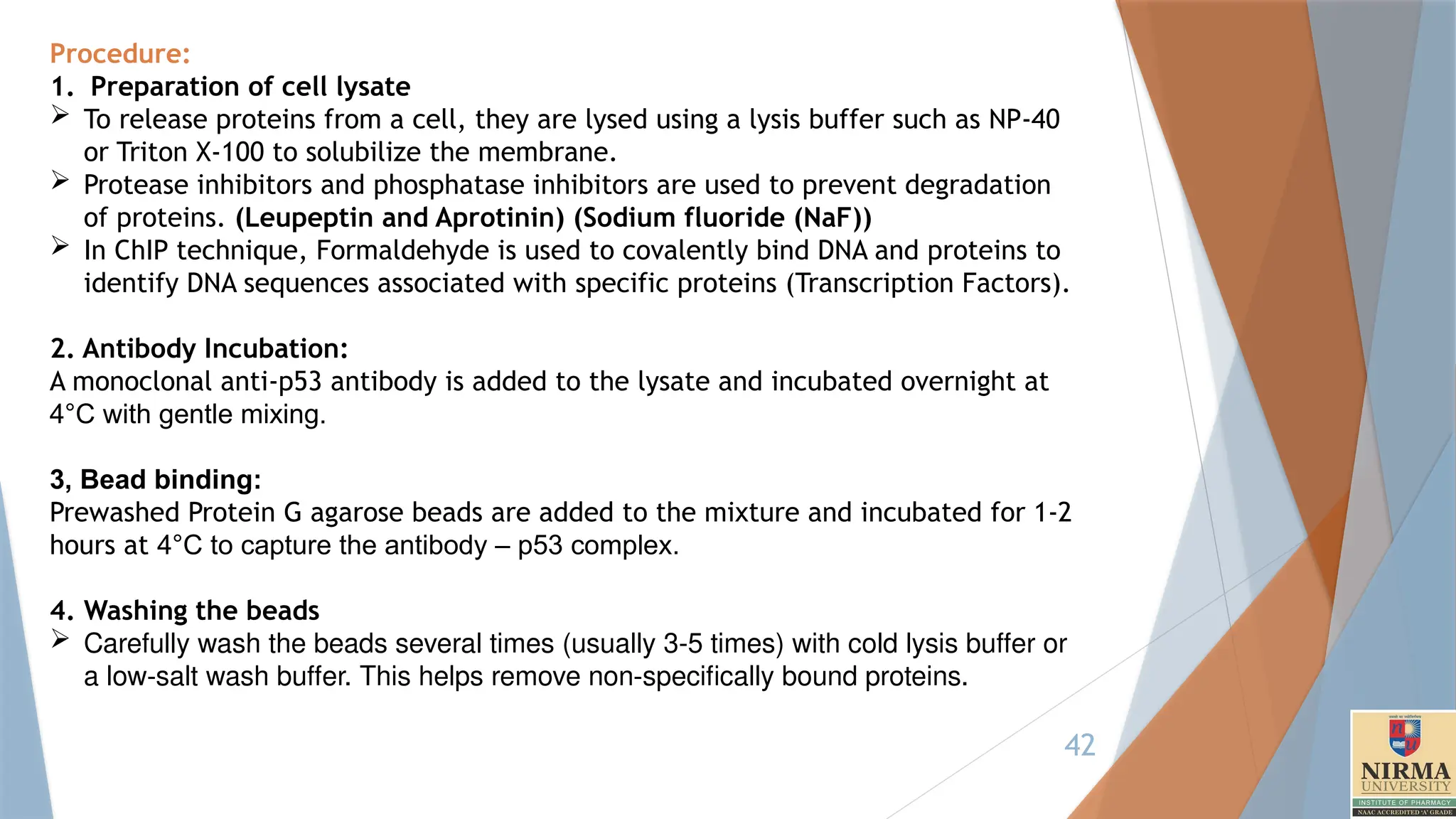 42
Procedure:
1. Preparation of cell lysate
 To release proteins from a cell, they are lysed using a lysis buffer such as NP-40
or Triton X-100 to solubilize the membrane.
 Protease inhibitors and phosphatase inhibitors are used to prevent degradation
of proteins. (Leupeptin and Aprotinin) (Sodium fluoride (NaF))
 In ChIP technique, Formaldehyde is used to covalently bind DNA and proteins to
identify DNA sequences associated with specific proteins (Transcription Factors).
2. Antibody Incubation:
A monoclonal anti-p53 antibody is added to the lysate and incubated overnight at
4°C with gentle mixing.
3, Bead binding:
Prewashed Protein G agarose beads are added to the mixture and incubated for 1-2
hours at 4°C to capture the antibody – p53 complex.
4. Washing the beads
 Carefully wash the beads several times (usually 3-5 times) with cold lysis buffer or
a low-salt wash buffer. This helps remove non-specifically bound proteins.
 