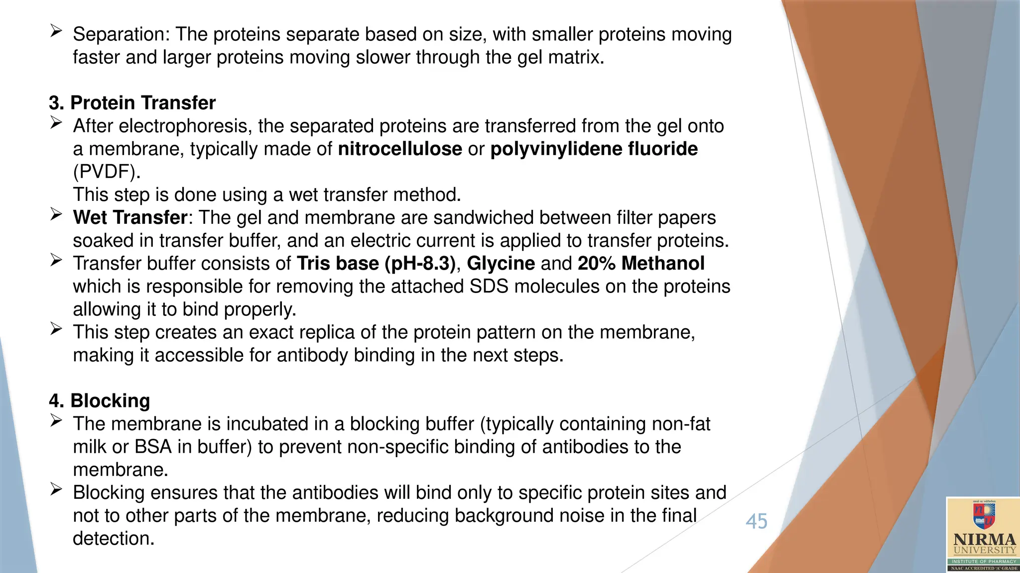 45
 Separation: The proteins separate based on size, with smaller proteins moving
faster and larger proteins moving slower through the gel matrix.
3. Protein Transfer
 After electrophoresis, the separated proteins are transferred from the gel onto
a membrane, typically made of nitrocellulose or polyvinylidene fluoride
(PVDF).
This step is done using a wet transfer method.
 Wet Transfer: The gel and membrane are sandwiched between filter papers
soaked in transfer buffer, and an electric current is applied to transfer proteins.
 Transfer buffer consists of Tris base (pH-8.3), Glycine and 20% Methanol
which is responsible for removing the attached SDS molecules on the proteins
allowing it to bind properly.
 This step creates an exact replica of the protein pattern on the membrane,
making it accessible for antibody binding in the next steps.
4. Blocking
 The membrane is incubated in a blocking buffer (typically containing non-fat
milk or BSA in buffer) to prevent non-specific binding of antibodies to the
membrane.
 Blocking ensures that the antibodies will bind only to specific protein sites and
not to other parts of the membrane, reducing background noise in the final
detection.
 