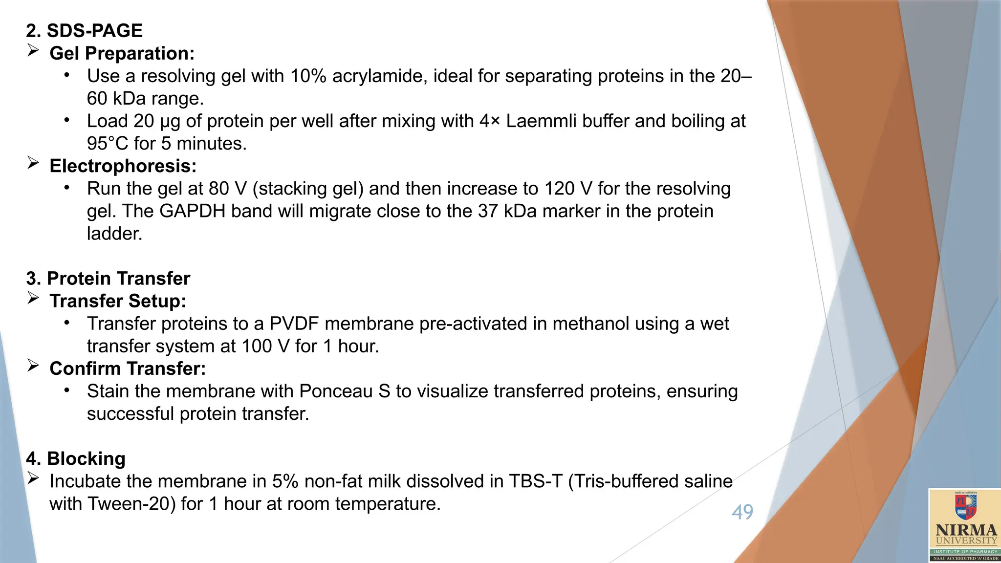 49
2. SDS-PAGE
 Gel Preparation:
• Use a resolving gel with 10% acrylamide, ideal for separating proteins in the 20–
60 kDa range.
• Load 20 µg of protein per well after mixing with 4× Laemmli buffer and boiling at
95°C for 5 minutes.
 Electrophoresis:
• Run the gel at 80 V (stacking gel) and then increase to 120 V for the resolving
gel. The GAPDH band will migrate close to the 37 kDa marker in the protein
ladder.
3. Protein Transfer
 Transfer Setup:
• Transfer proteins to a PVDF membrane pre-activated in methanol using a wet
transfer system at 100 V for 1 hour.
 Confirm Transfer:
• Stain the membrane with Ponceau S to visualize transferred proteins, ensuring
successful protein transfer.
4. Blocking
 Incubate the membrane in 5% non-fat milk dissolved in TBS-T (Tris-buffered saline
with Tween-20) for 1 hour at room temperature.
 
