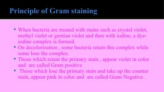  When bacteria are treated with stains such as crystal violet,
methyl violet or gentian violet and then with iodine, a dye-
iodine complex is formed.
 On decolorization , some bacteria retain this complex while
some lose the complex.
 Those which retain the primary stain , appear violet in color
and are called Gram positive
 Those which lose the primary stain and take up the counter
stain, appear pink in color and are called Gram Negative .
 