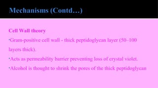 Cell Wall theory
•Gram-positive cell wall - thick peptidoglycan layer (50–100
layers thick).
•Acts as permeability barrier preventing loss of crystal violet.
•Alcohol is thought to shrink the pores of the thick peptidoglycan
 