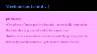 pH theory:
•Cytoplasm of gram-positive bacteria - more acidic -can retain
the basic dye (e.g. crystal violet) for longer time.
•Iodine serves as mordant - combines with the primary stain to
form a dye-iodine complex - gets retained inside the cell
 