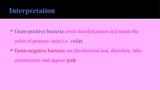  Gram-positive bacteria resist decolorization and retain the
color of primary stain i.e. violet.
 Gram-negative bacteria are decolorized and, therefore, take
counterstain and appear pink
 