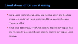  Some Gram-positive bacteria may lose the stain easily and therefore
appear as a mixture of Gram-positive and Gram-negative bacteria
(Gram-variable).
 When over-decolorized, even Gram positive bacteria may appear pink
and when under-decolorized gram negative bacteria may appear Gram
positive.
 