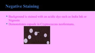  Background is stained with an acidic dye such as India Ink or
Nigrosin
 Demonstrates capsule in Cryptococcus neoformans.
 