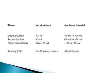 Phase Ion Movement Membrane Potential
Depolarization Na⁺ in –70 mV → +30 mV
Repolarization K⁺ out +30 mV → –70 mV
Hyperpolarization Excess K⁺ out ~ –80 to –90 mV
Resting State Na⁺/K⁺ pump restores –70 mV (stable)
 