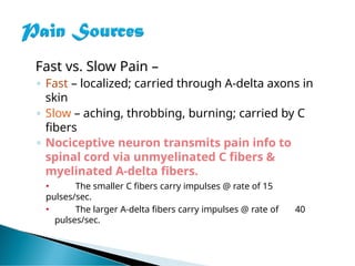 Fast vs. Slow Pain –
◦ Fast – localized; carried through A-delta axons in
skin
◦ Slow – aching, throbbing, burning; carried by C
fibers
◦ Nociceptive neuron transmits pain info to
spinal cord via unmyelinated C fibers &
myelinated A-delta fibers.
🞄 The smaller C fibers carry impulses @ rate of 15
pulses/sec.
🞄 The larger A-delta fibers carry impulses @ rate of 40
pulses/sec.
 