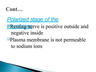 Polarized stage of the
membrane
Resting nerve is positive outside and
negative inside
Plasma membrane is not permeable
to sodium ions
 
