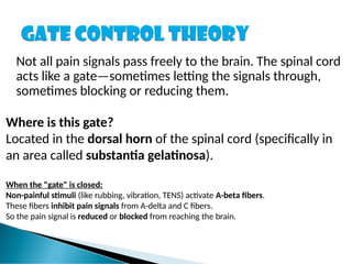 Not all pain signals pass freely to the brain. The spinal cord
acts like a gate—sometimes letting the signals through,
sometimes blocking or reducing them.
Where is this gate?
Located in the dorsal horn of the spinal cord (specifically in
an area called substantia gelatinosa).
When the "gate" is closed:
Non-painful stimuli (like rubbing, vibration, TENS) activate A-beta fibers.
These fibers inhibit pain signals from A-delta and C fibers.
So the pain signal is reduced or blocked from reaching the brain.
 