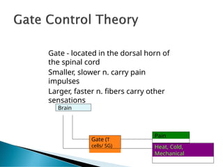 Gate - located in the dorsal horn of
the spinal cord
Smaller, slower n. carry pain
impulses
Larger, faster n. fibers carry other
sensations
Brain
Pain
Heat, Cold,
Mechanical
Gate (T
cells/ SG)
 