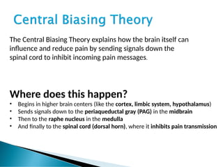 The Central Biasing Theory explains how the brain itself can
influence and reduce pain by sending signals down the
spinal cord to inhibit incoming pain messages.
Where does this happen?
• Begins in higher brain centers (like the cortex, limbic system, hypothalamus)
• Sends signals down to the periaqueductal gray (PAG) in the midbrain
• Then to the raphe nucleus in the medulla
• And finally to the spinal cord (dorsal horn), where it inhibits pain transmission
 