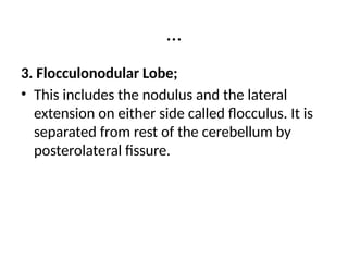 9. Cerebellum lobes of the cerebellum .pptx