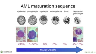 AML Clinical reasoning.pdf sssssssssssss | PPTX