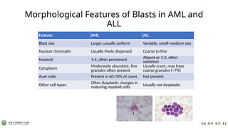 AML Clinical reasoning.pdf sssssssssssss | PPTX
