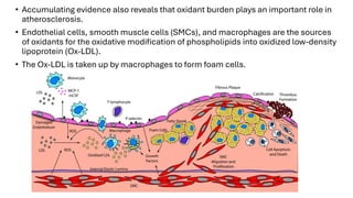 9. Reactive Oxygen Species and Diseases (2) Atherosclerosis (1).pdf