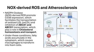 9. Reactive Oxygen Species and Diseases (2) Atherosclerosis (1).pdf