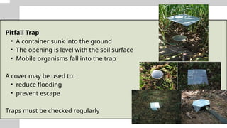 Pitfall Trap Array Sampling Mobile organisms in environmental management | PPTX