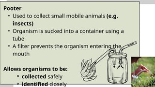 Sampling Mobile organisms in environmental management | PPTX
