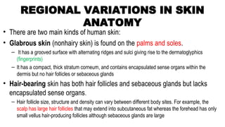 This is the 9.INTEGUMENTARY [Autosaved].ppt