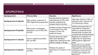 Lipid Metabolism presentation for physiotherapist | PDF