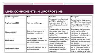 Lipid Metabolism presentation for physiotherapist | PDF