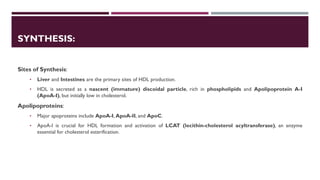Lipid Metabolism presentation for physiotherapist | PDF