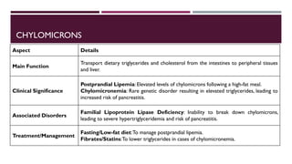 Lipid Metabolism presentation for physiotherapist | PDF