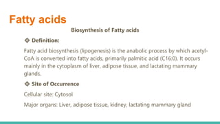 Lipid Metabolism presentation for physiotherapist | PDF