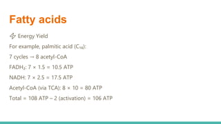 Lipid Metabolism presentation for physiotherapist | PDF