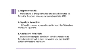 Lipid Metabolism presentation for physiotherapist | PDF