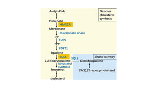 Lipid Metabolism presentation for physiotherapist | PDF