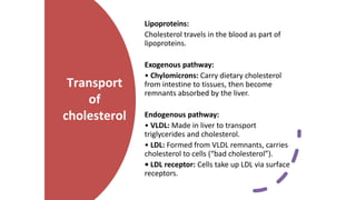 Lipid Metabolism presentation for physiotherapist | PDF