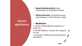 Lipid Metabolism presentation for physiotherapist | PDF
