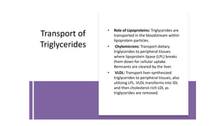 Lipid Metabolism presentation for physiotherapist | PDF